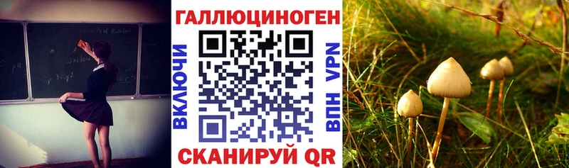 площадка формула наркотики Камень-на-Оби Псилоцибиновые грибы MAGIC MUSHROOMS