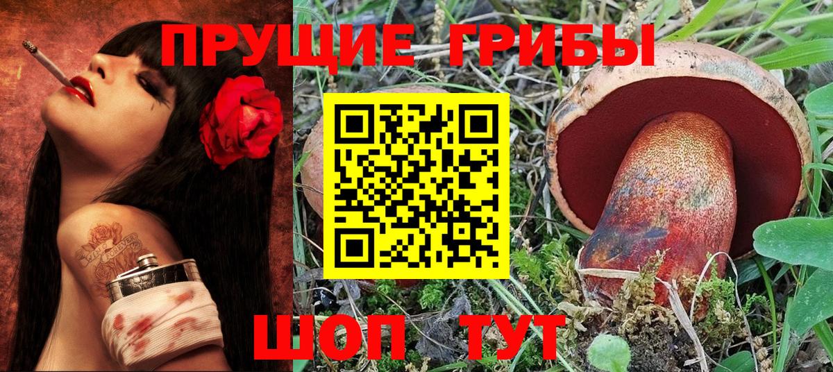 Псилоцибиновые грибы MAGIC MUSHROOMS  Вход с VPN  Камень-на-Оби 